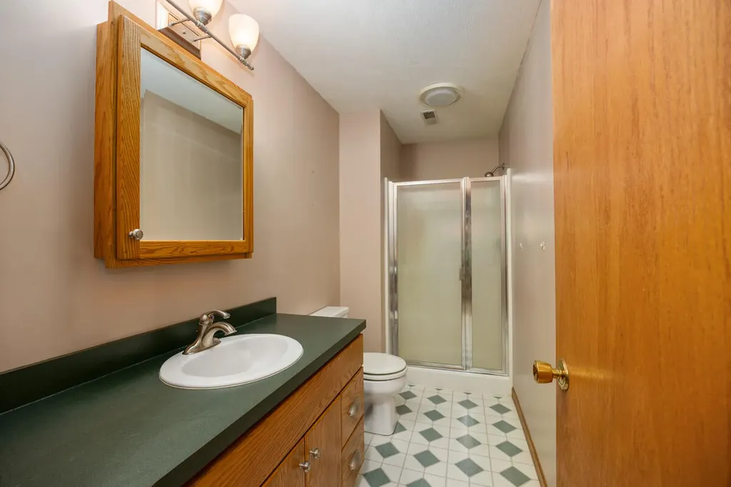 15056 Oakwood Drive Big Rapids Charter Township MI 49307