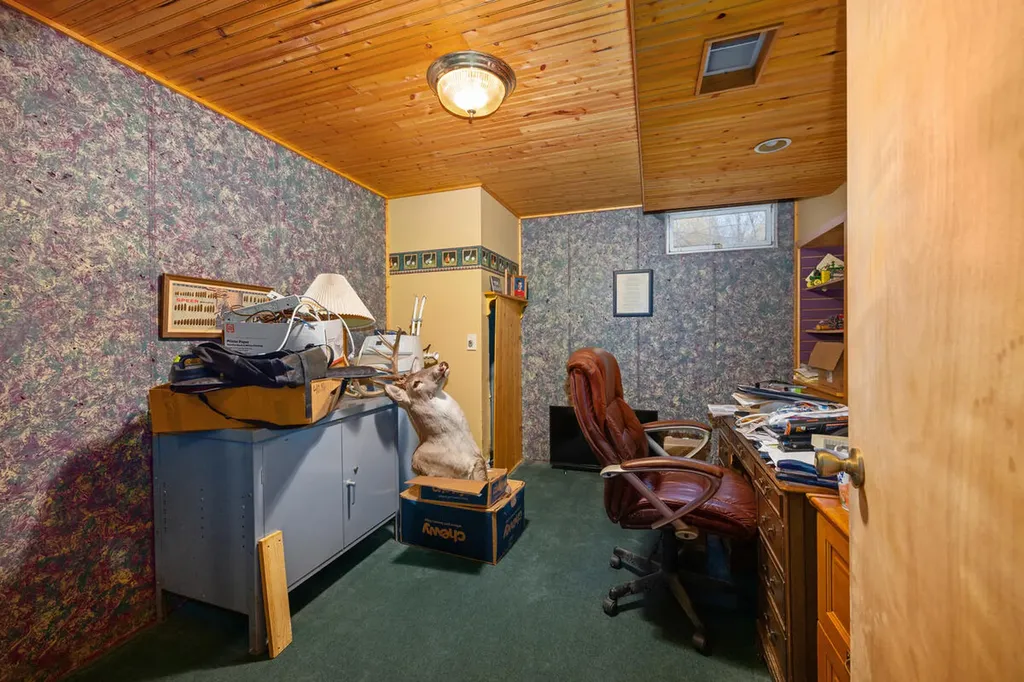 15056 Oakwood Drive Big Rapids Charter Township MI 49307