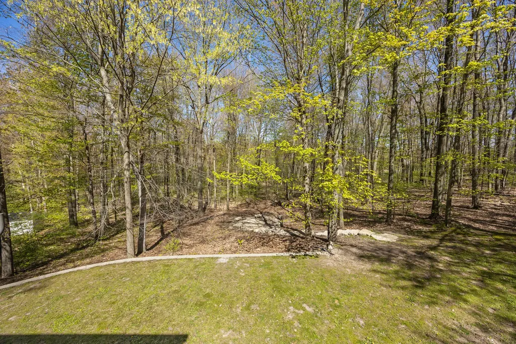 15056 Oakwood Drive Big Rapids Charter Township MI 49307