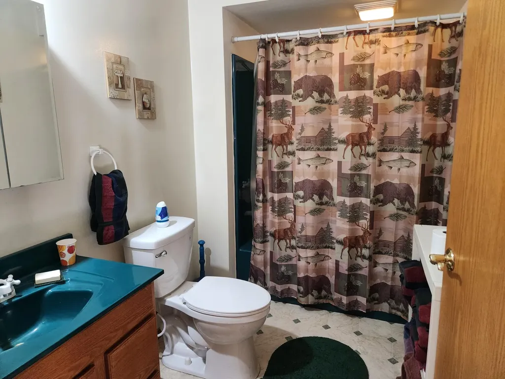 9223 S Trail Of The Lakes Lake Township MI 49304