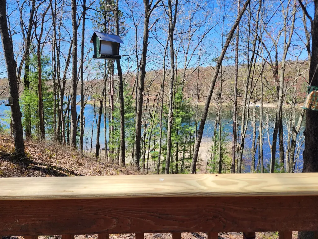 9223 S Trail Of The Lakes Lake Township MI 49304