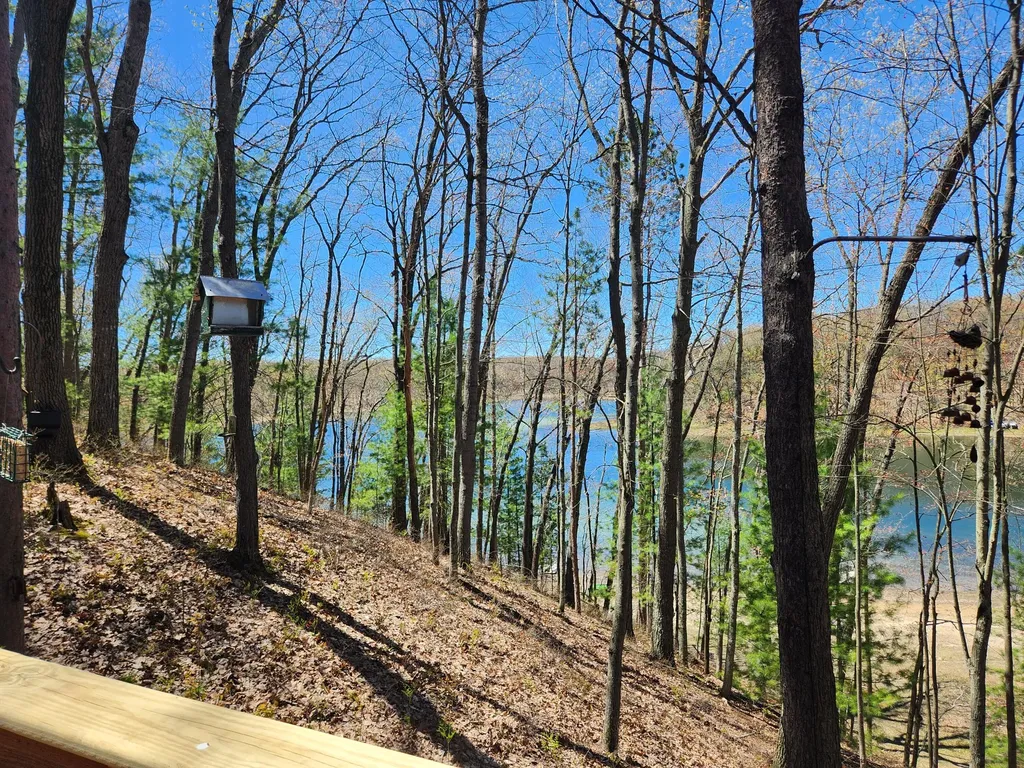 9223 S Trail Of The Lakes Lake Township MI 49304