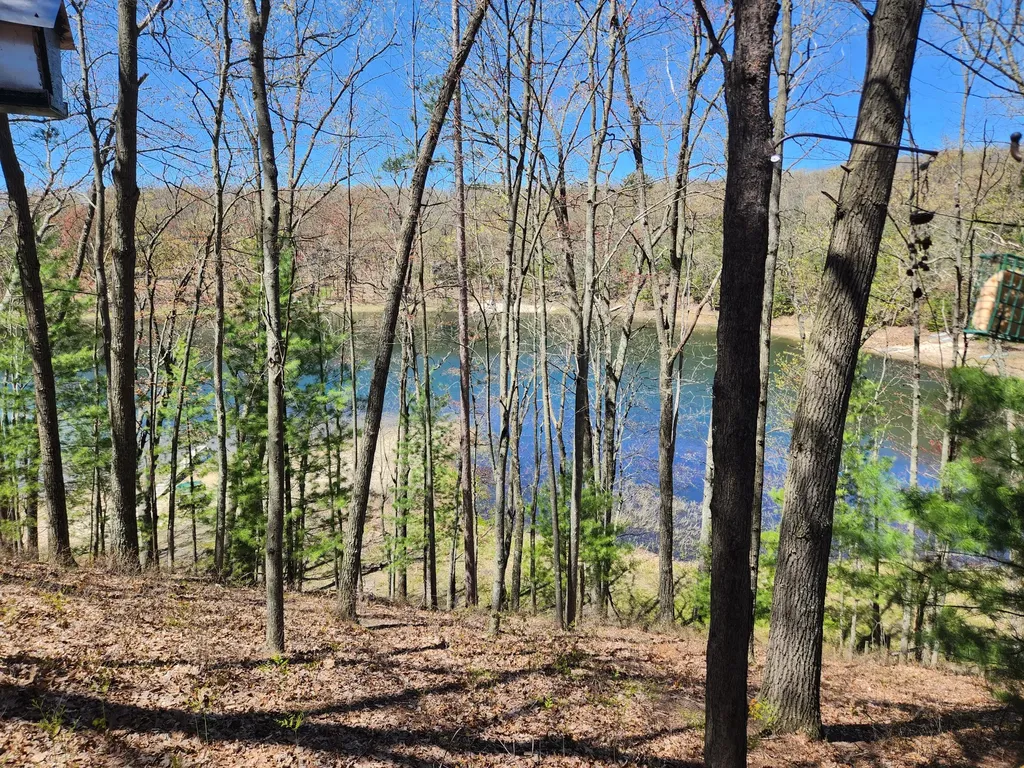 9223 S Trail Of The Lakes Lake Township MI 49304
