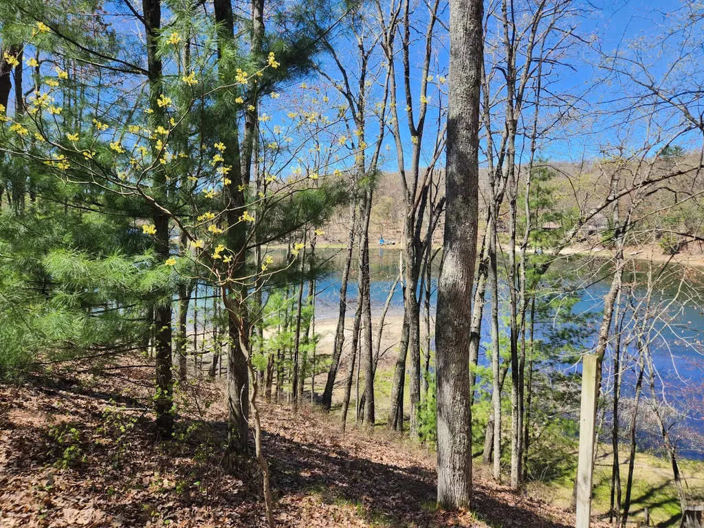 9223 S Trail Of The Lakes Lake Township MI 49304