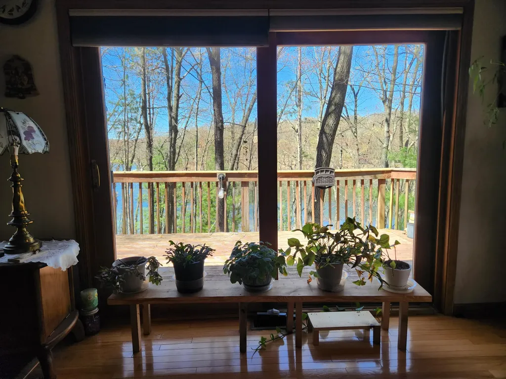 9223 S Trail Of The Lakes Lake Township MI 49304