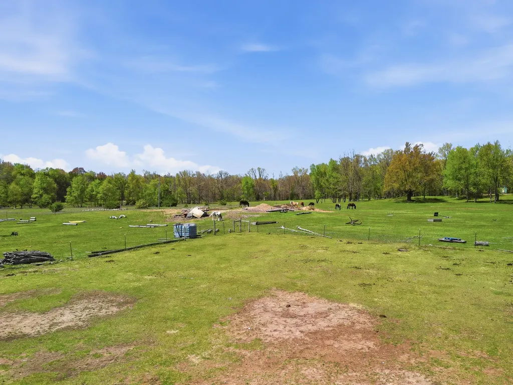 12686 Buchanan Road Austin Township MI 49346