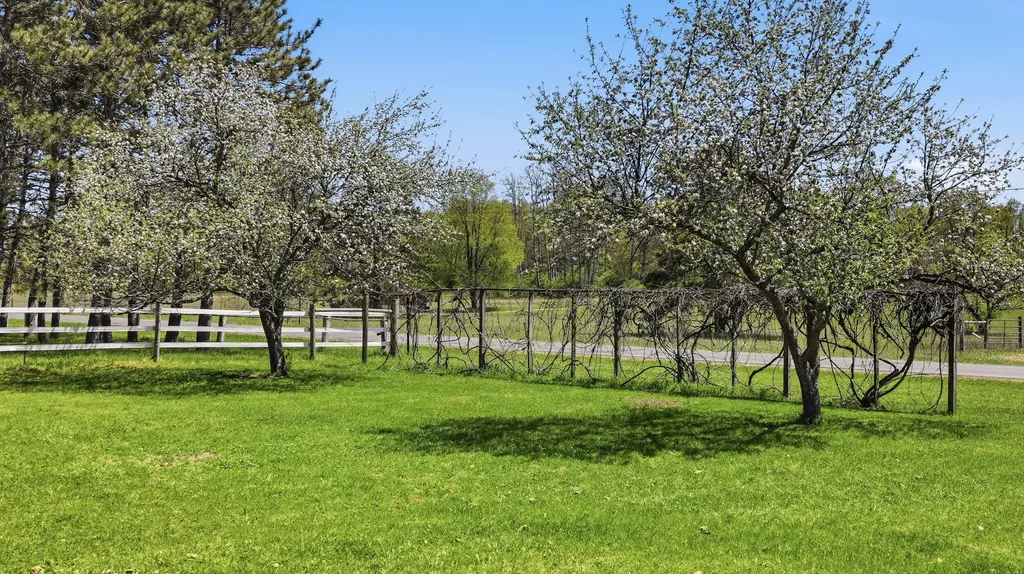 12686 Buchanan Road Austin Township MI 49346