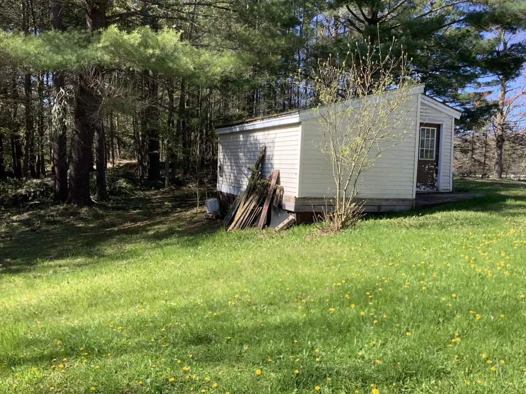 16658 140th Avenue Rose Lake Township MI 49655