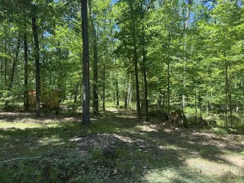 9826 S Orchid Avenue Lake Township MI 49304