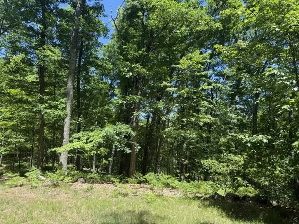 9826 S Orchid Avenue Lake Township MI 49304