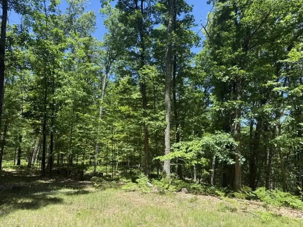 9826 S Orchid Avenue Lake Township MI 49304