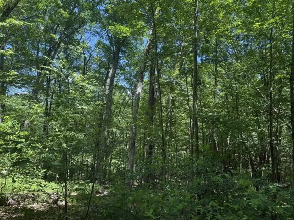 9826 S Orchid Avenue Lake Township MI 49304