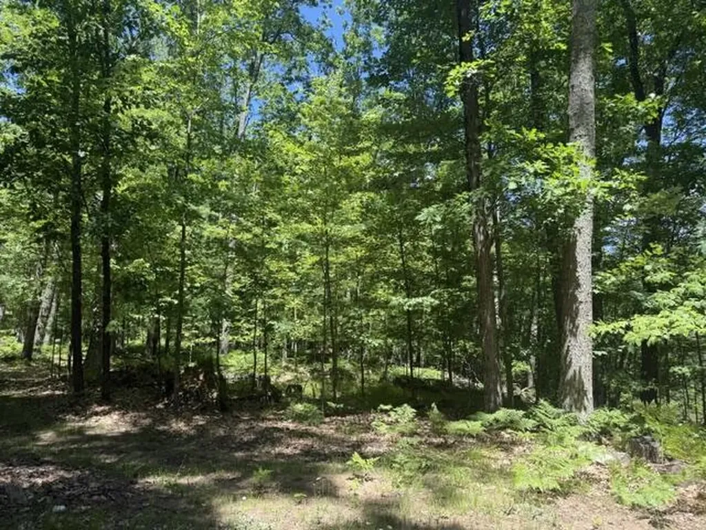9826 S Orchid Avenue Lake Township MI 49304