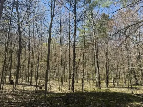 9826 S Orchid Avenue Lake Township MI 49304