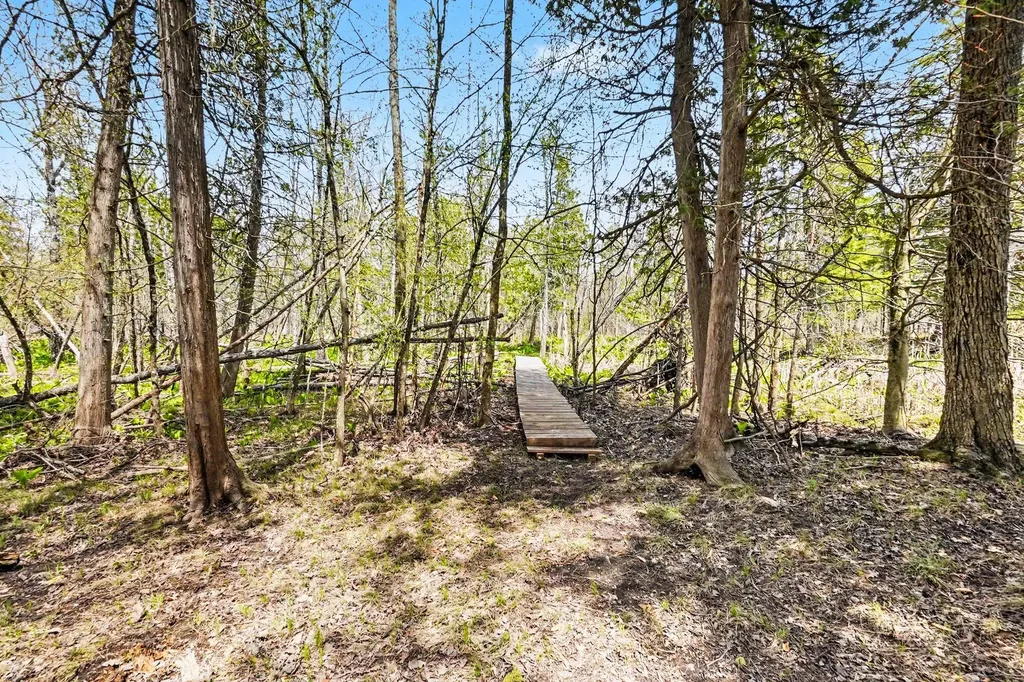 11435 Woodland Drive Evart Township MI 49631