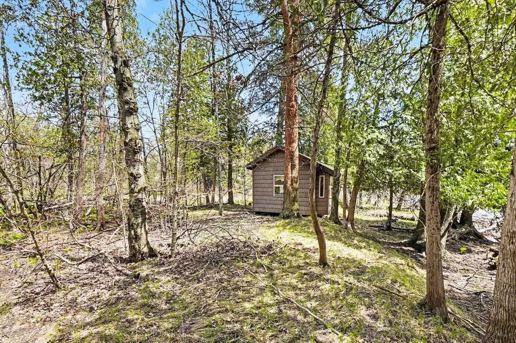 11435 Woodland Drive Evart Township MI 49631