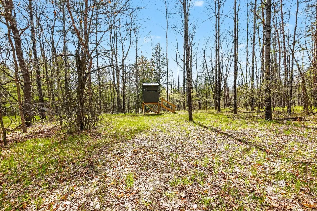 11435 Woodland Drive Evart Township MI 49631