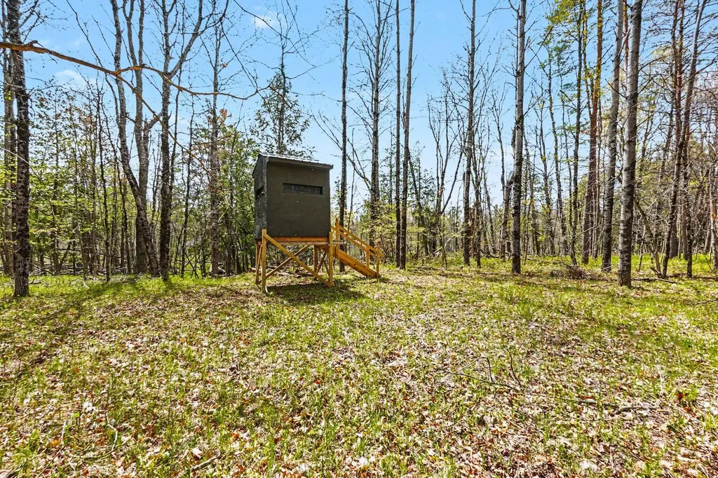 11435 Woodland Drive Evart Township MI 49631