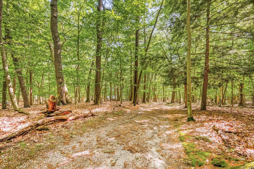 5717 W Pleasant Hill Road Hamlin Township MI 49411