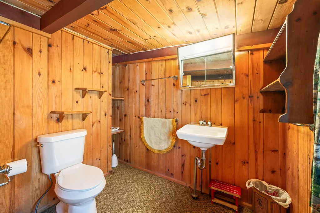 5717 W Pleasant Hill Road Hamlin Township MI 49411