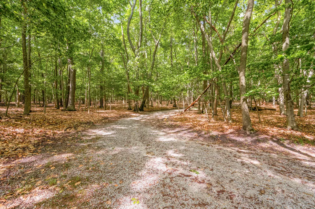 5717 W Pleasant Hill Road Hamlin Township MI 49411