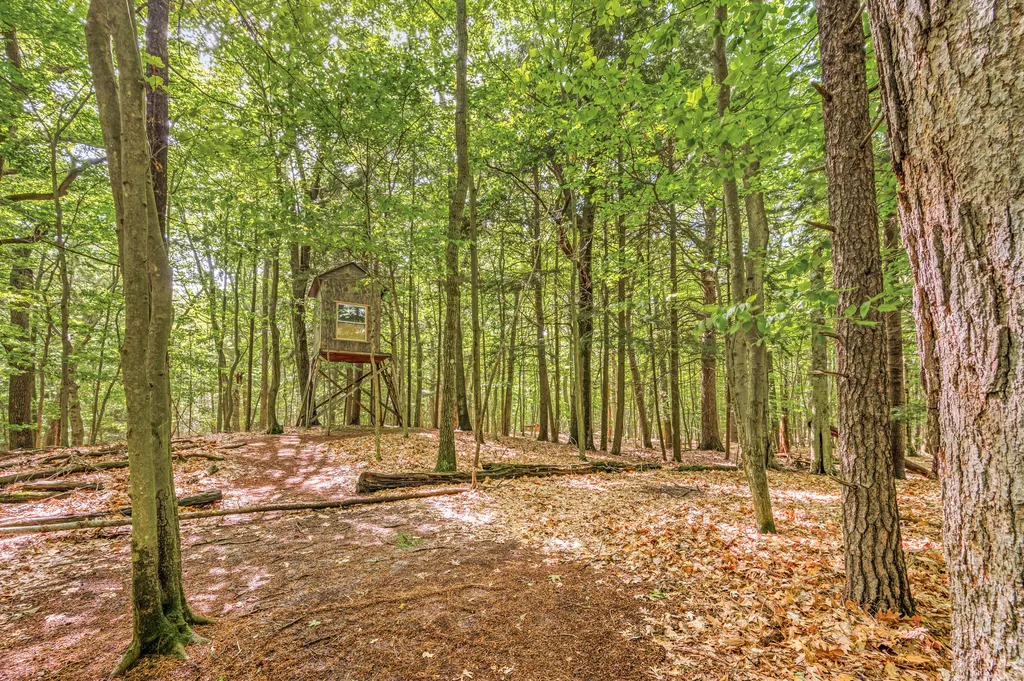 5717 W Pleasant Hill Road Hamlin Township MI 49411