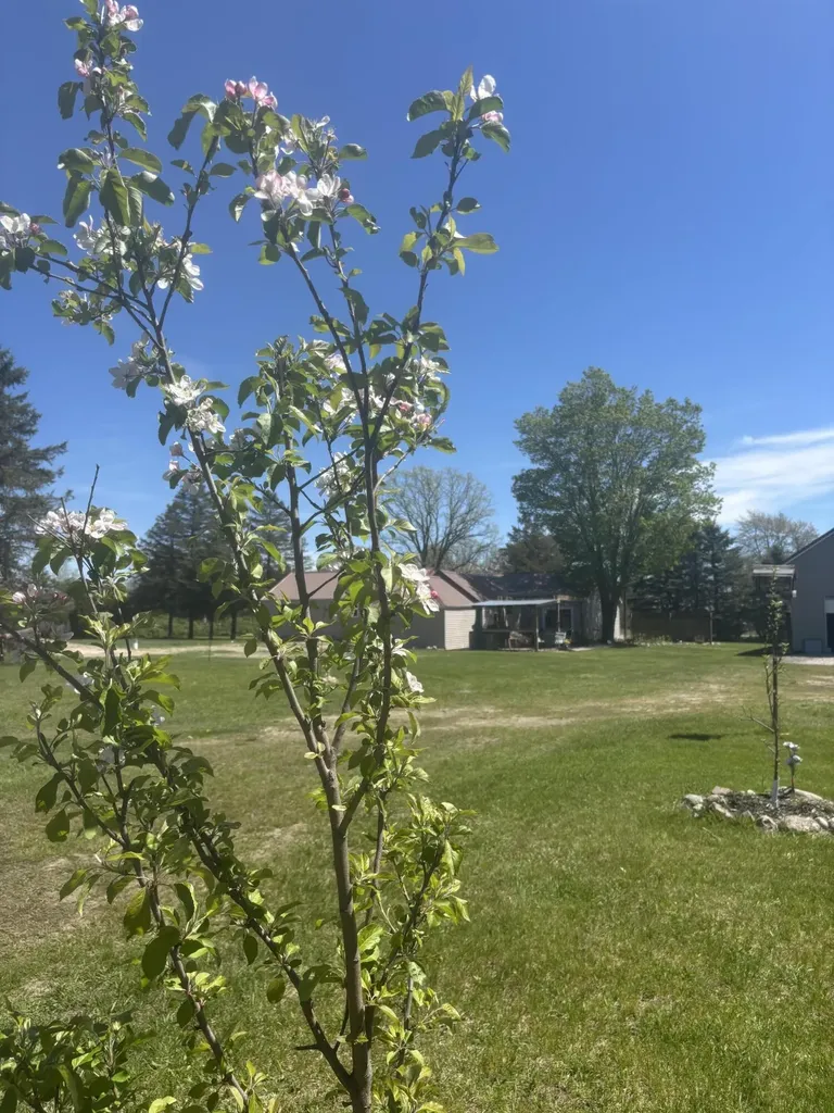 8025 S Warner Avenue Bridgeton Township MI 49412