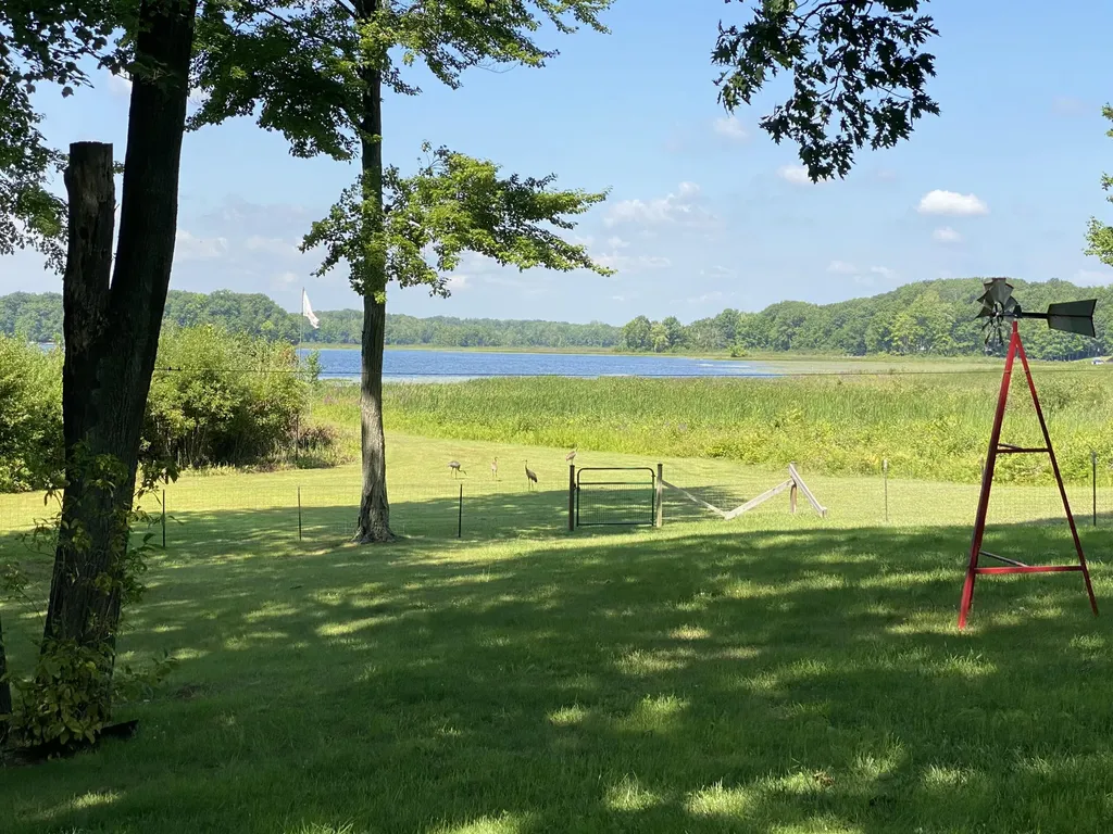 17185 Sandy Lane Sheridan Township MI 49305