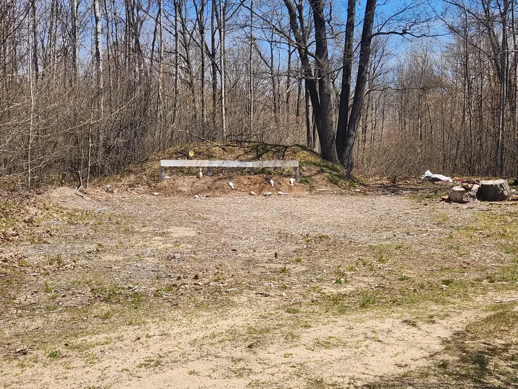 4650 Gambling Trail Hamilton Township MI 48625