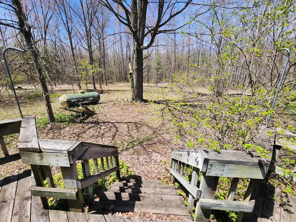 4650 Gambling Trail Hamilton Township MI 48625