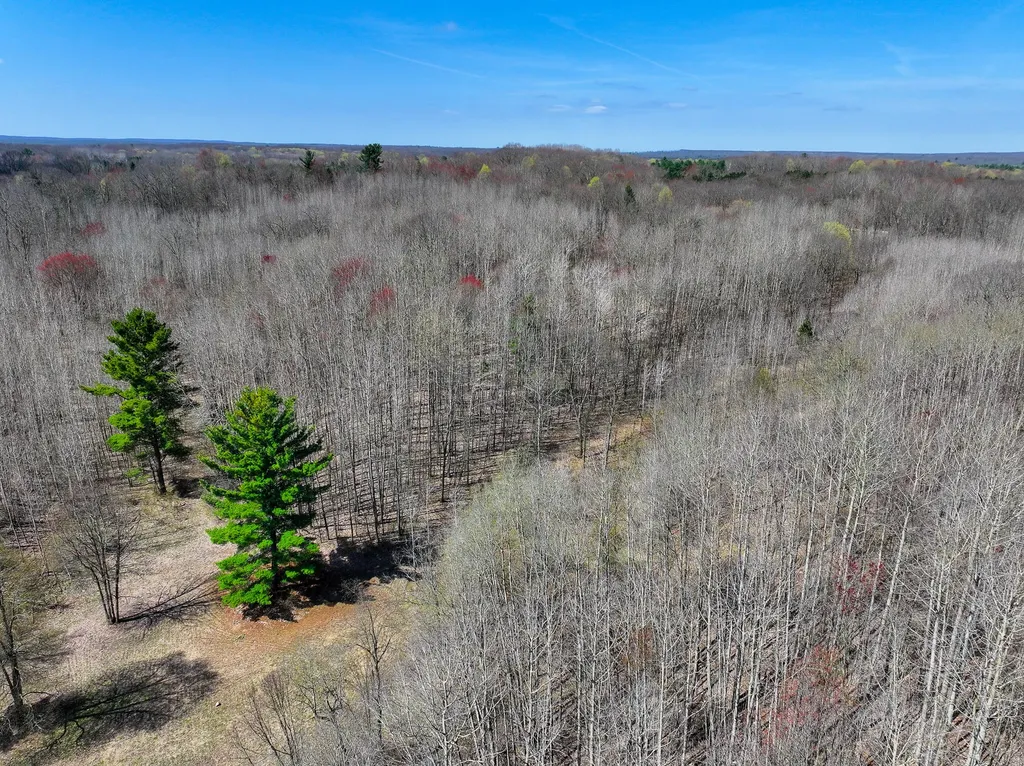 7415 E Anthony Road Logan Township MI 49402