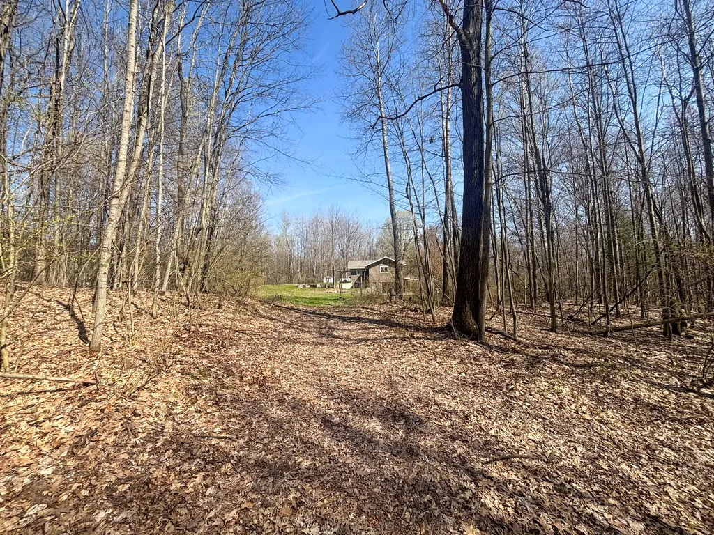 7415 E Anthony Road Logan Township MI 49402