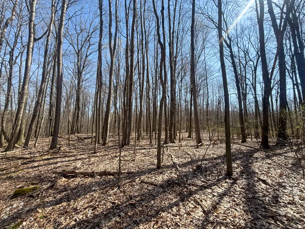 7415 E Anthony Road Logan Township MI 49402