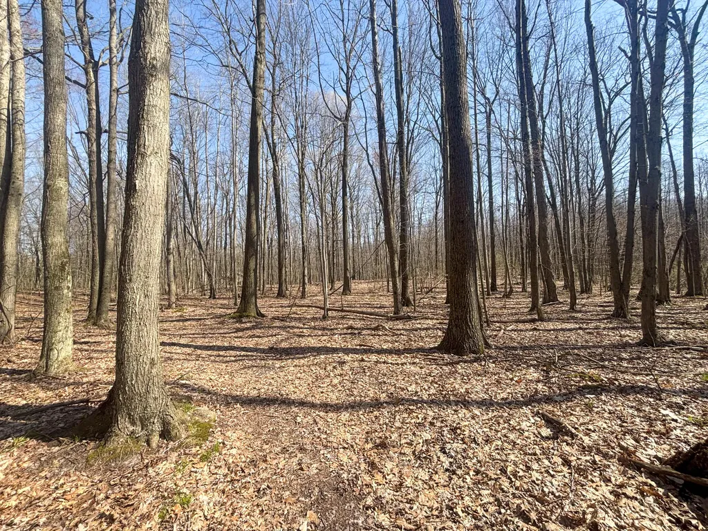 7415 E Anthony Road Logan Township MI 49402