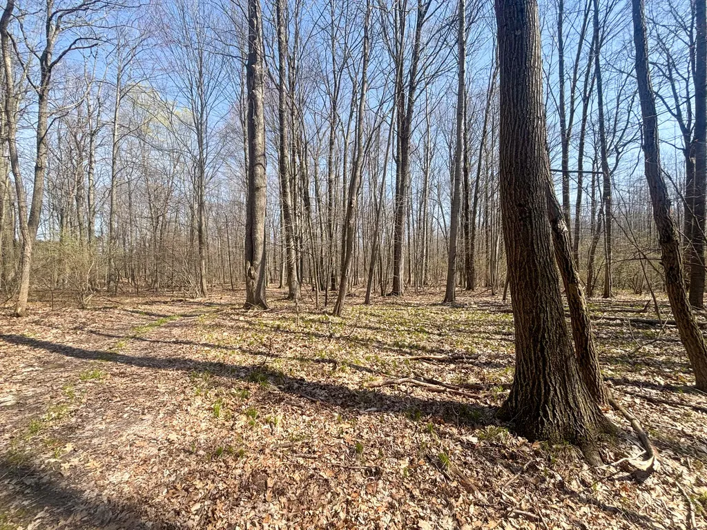 7415 E Anthony Road Logan Township MI 49402