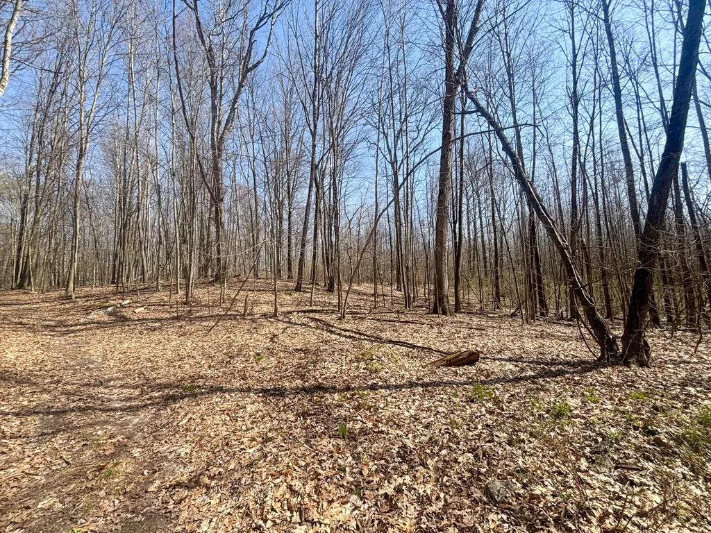 7415 E Anthony Road Logan Township MI 49402