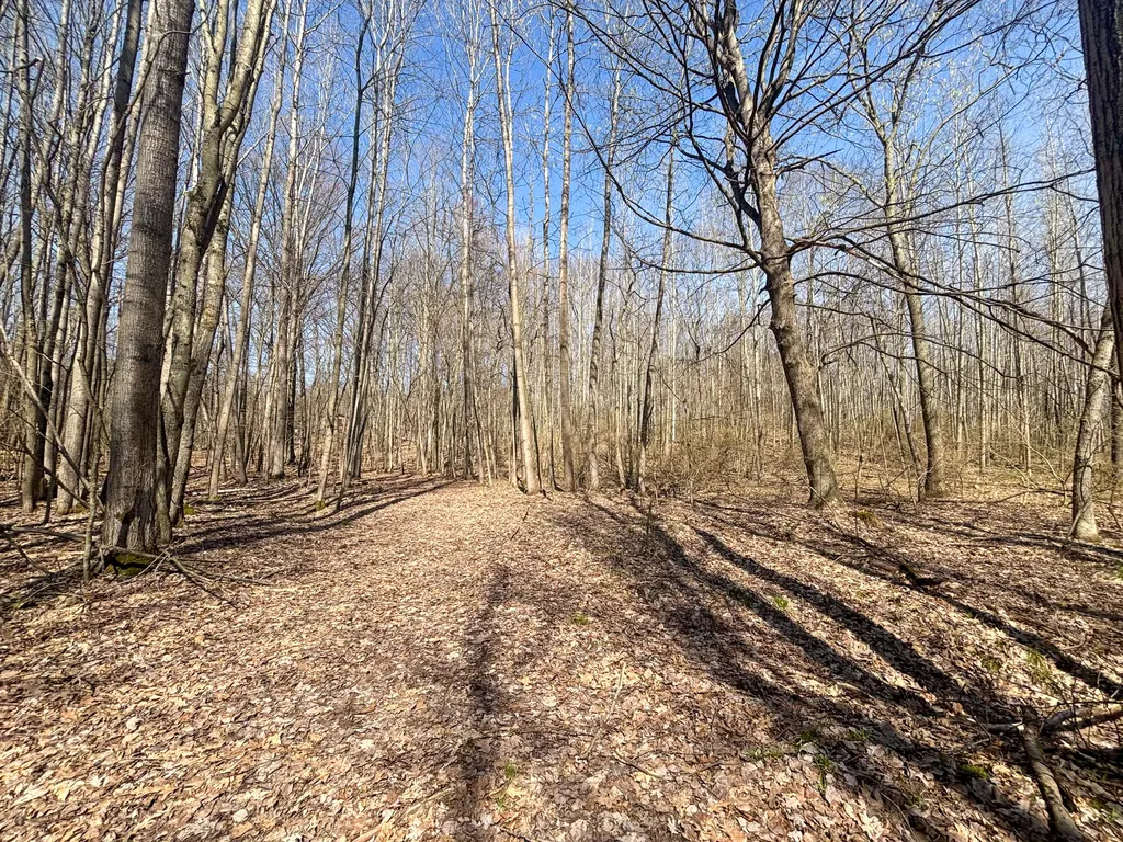7415 E Anthony Road Logan Township MI 49402