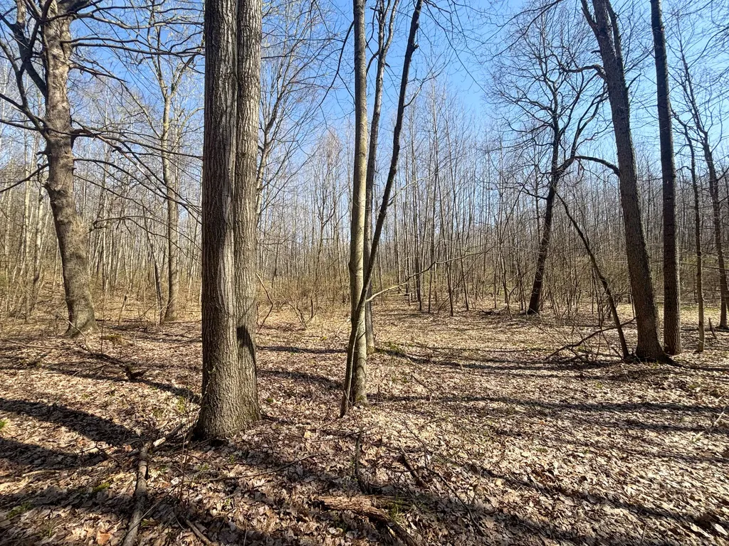 7415 E Anthony Road Logan Township MI 49402