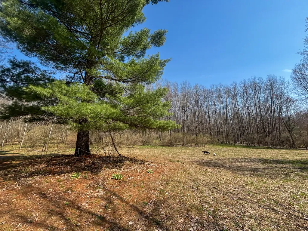 7415 E Anthony Road Logan Township MI 49402