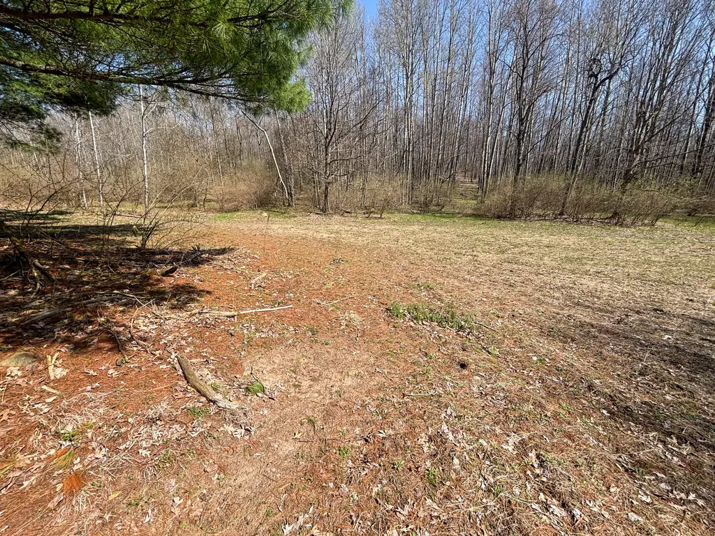 7415 E Anthony Road Logan Township MI 49402