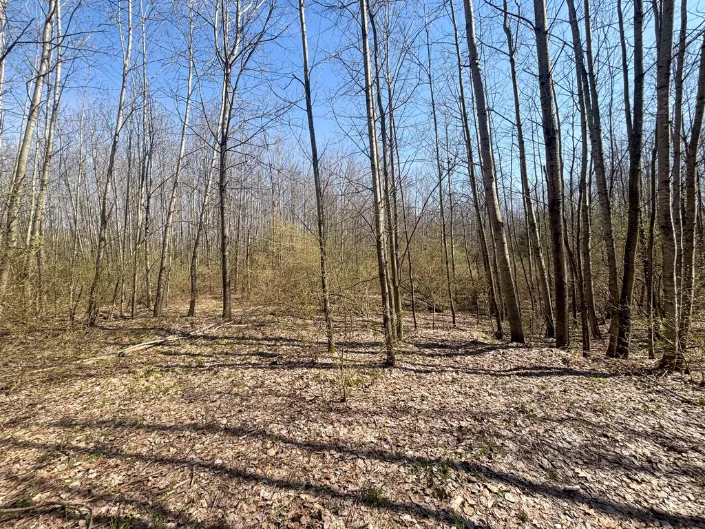 7415 E Anthony Road Logan Township MI 49402