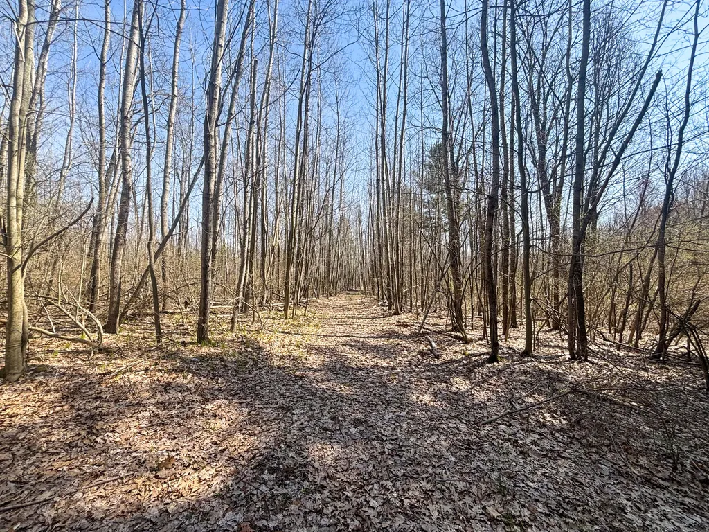 7415 E Anthony Road Logan Township MI 49402