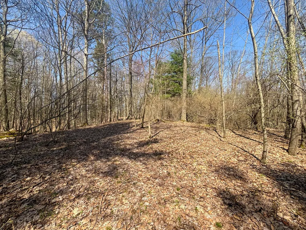 7415 E Anthony Road Logan Township MI 49402
