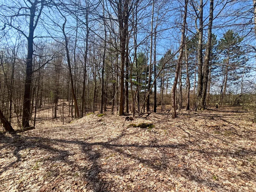 7415 E Anthony Road Logan Township MI 49402