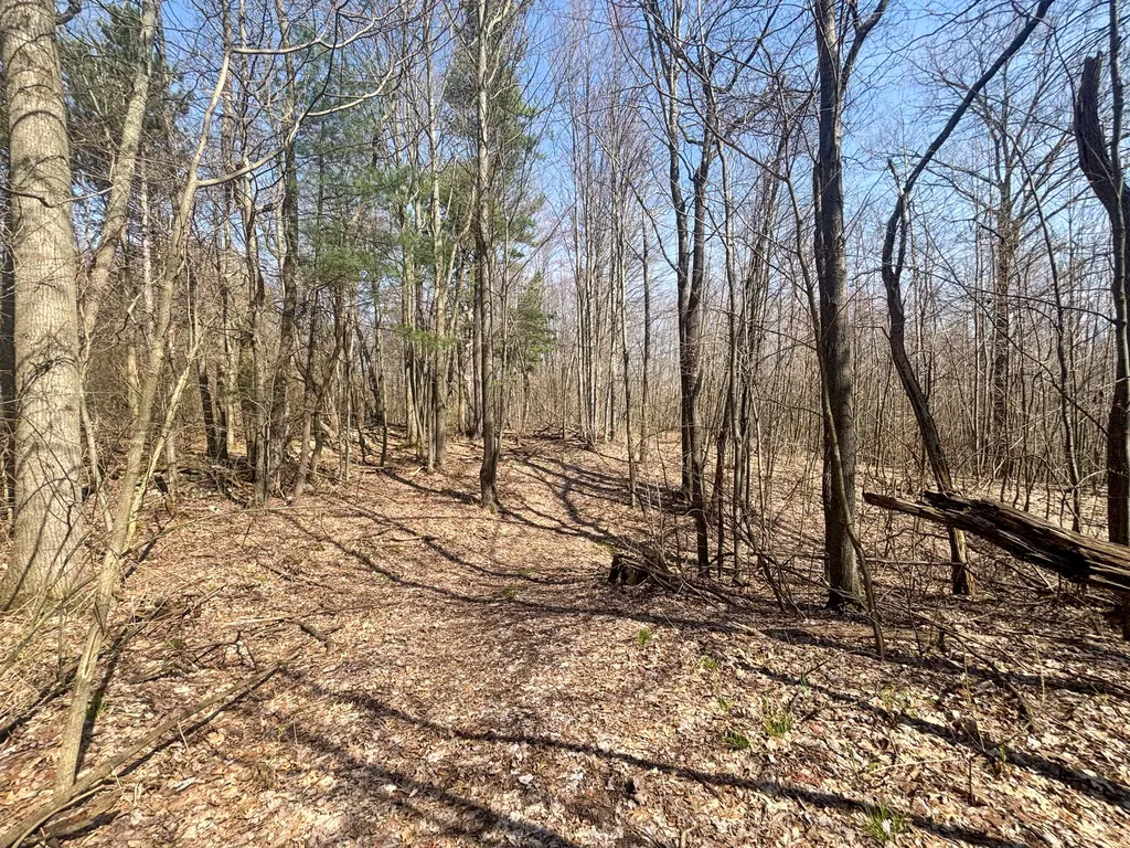 7415 E Anthony Road Logan Township MI 49402