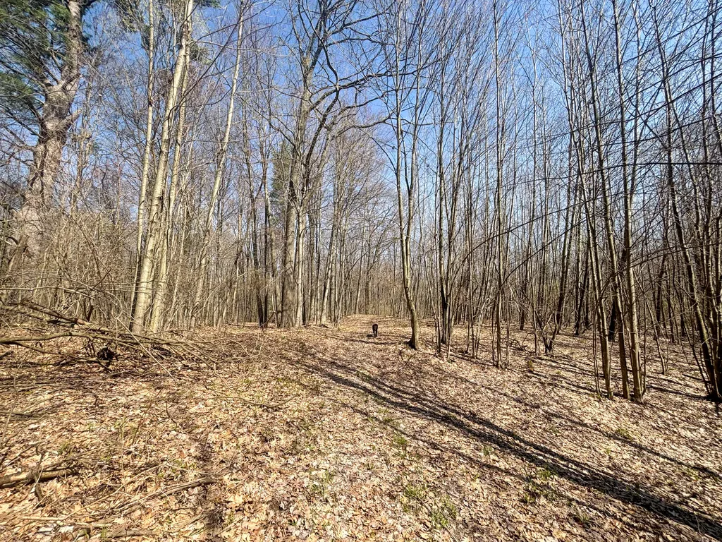 7415 E Anthony Road Logan Township MI 49402