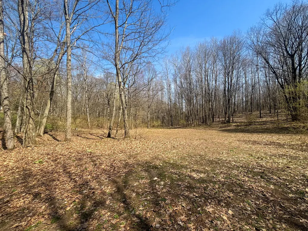 7415 E Anthony Road Logan Township MI 49402