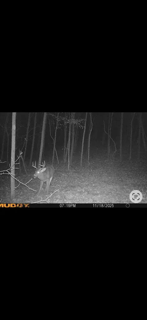 7415 E Anthony Road Logan Township MI 49402