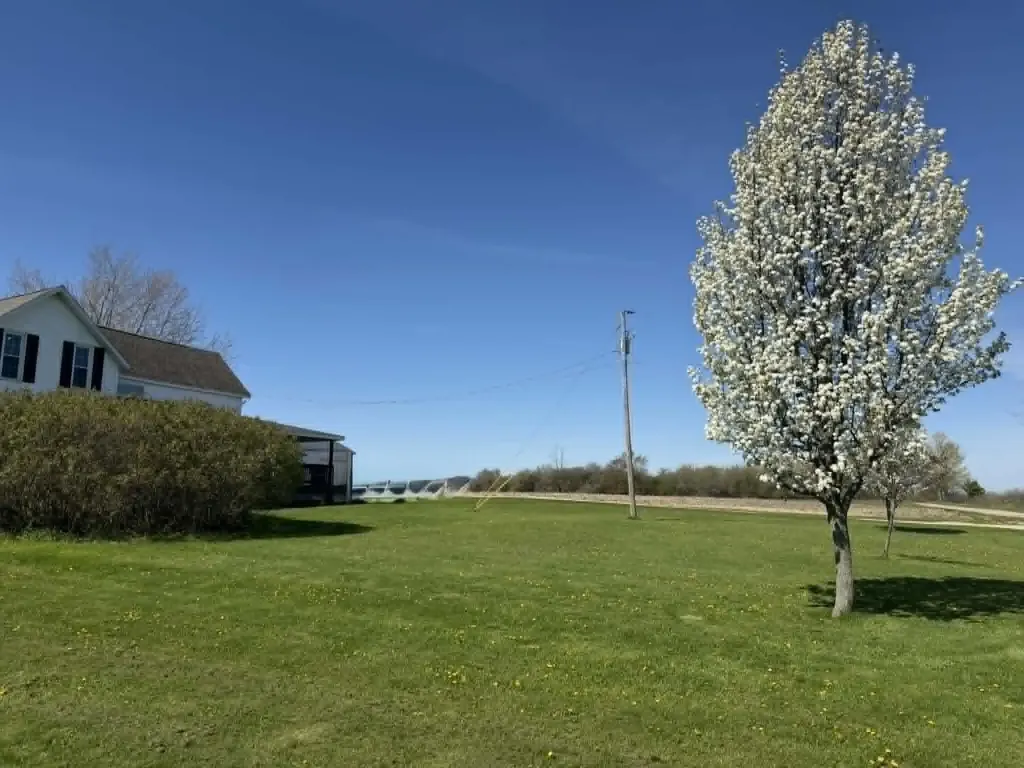 8377 Truman Road Chippewa Township MI 49631