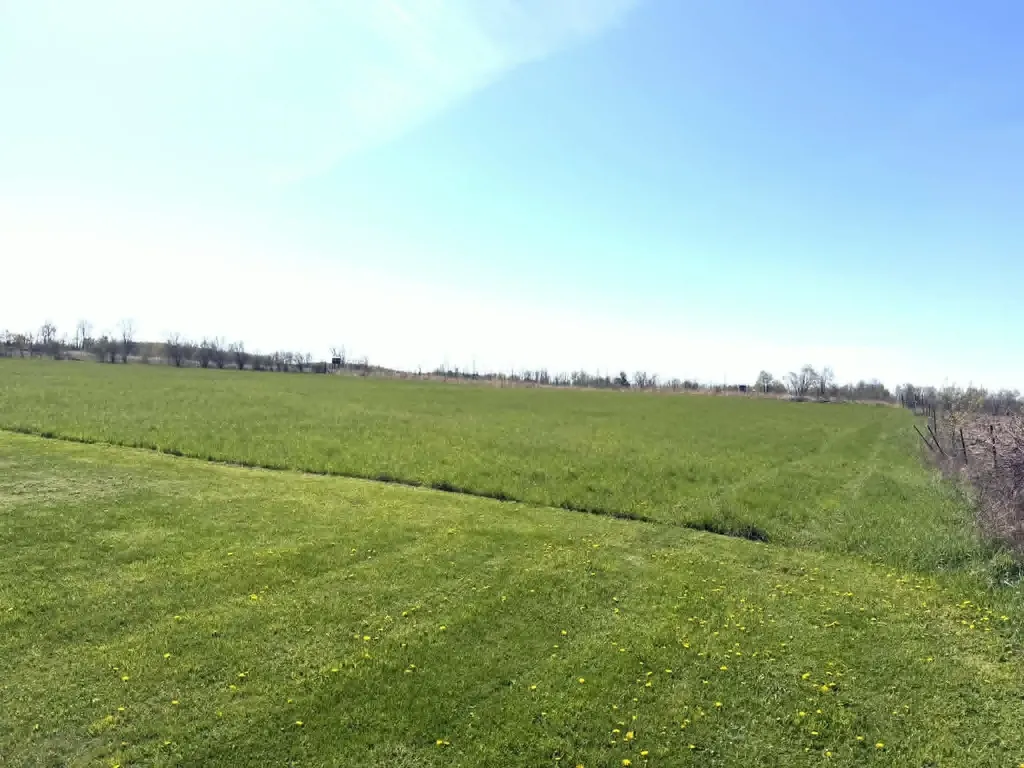 8377 Truman Road Chippewa Township MI 49631